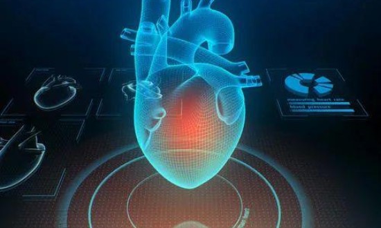 2024年3D类器官行业产业链的供需布局及发展前景