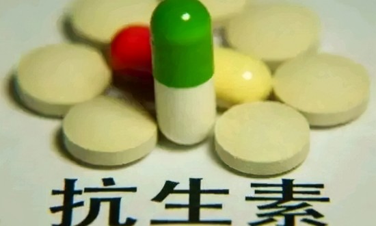 2024年中国抗生素行业的产业链供需布局及重点企业情况