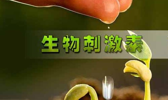 2024年中国生物刺激素行业的产业链上下游结构及发展现状