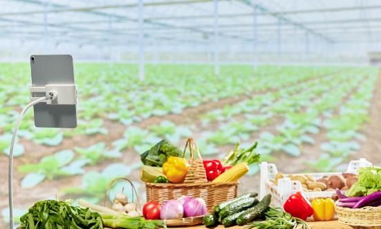 网络直播行业市场前瞻：商业模式的创新将成为行业发展的重要方向