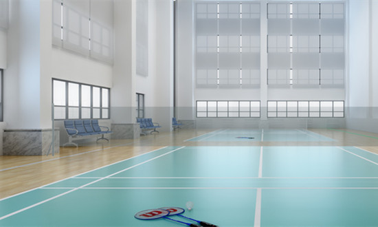 羽毛球馆行业发展概况及市场运营格局分析