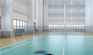 羽毛球馆行业发展概况及市场运营格局分析