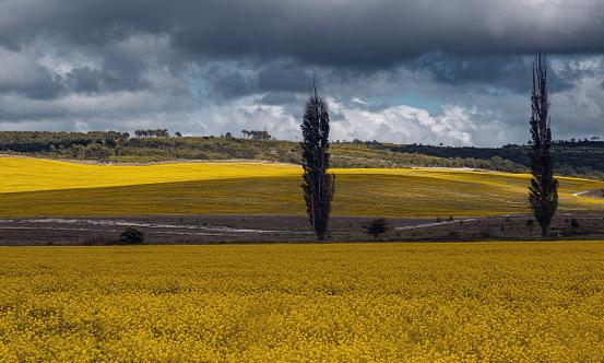 气象服务产业分析报告2024：我国现有气象观测站超过7万个