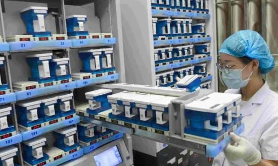 医用高值耗材行业细分市场调研与投资2024