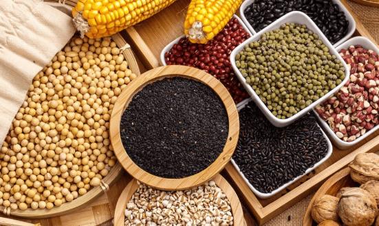 粗粮行业分析报告：科技赋能杂粮产业高质量发展