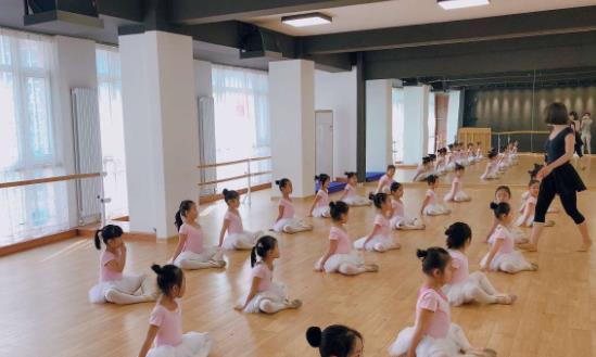 少儿舞蹈培训行业分析：继续向多元化、个性化方向发展