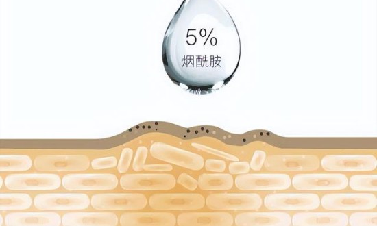 2024年中国烟酰胺行业的产业链上下游结构及重点企业