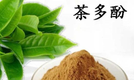 2024年中国茶多酚行业发展现状及重点企业情况