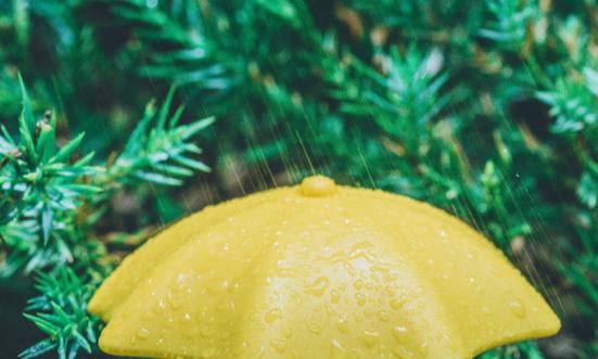 雨伞行业市场现状分析及发展趋势：健康、环保、使用便捷是商家加大研发投入的方向