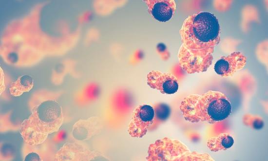 病理诊断行业发展前景研究展望：2024年全球病理学市场规模将达到显著水平