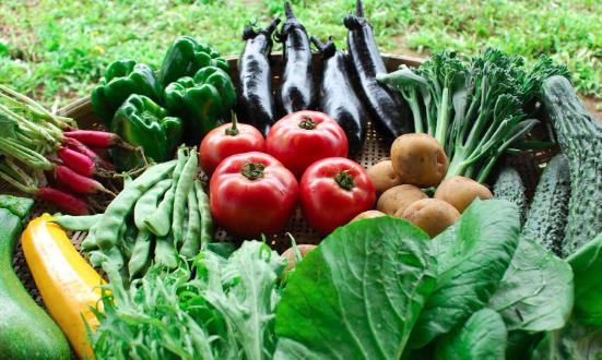 有机农产品行业现状调查与消费需求2024