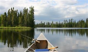 渔具行业市场深度分析报告2024：中国渔具行业受到了多个因素的影响