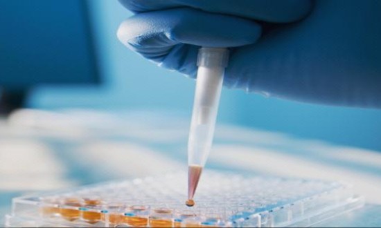 2024年中国酶工程药物行业产业链上下游结构及重点企业