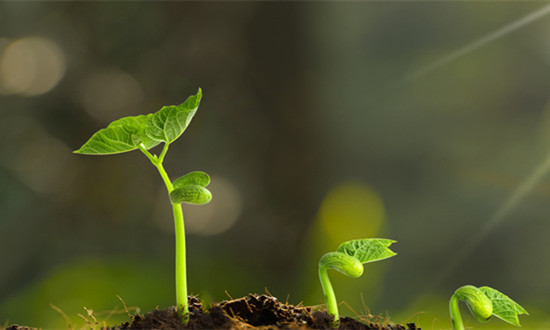 土壤修复行业市场深度分析2024