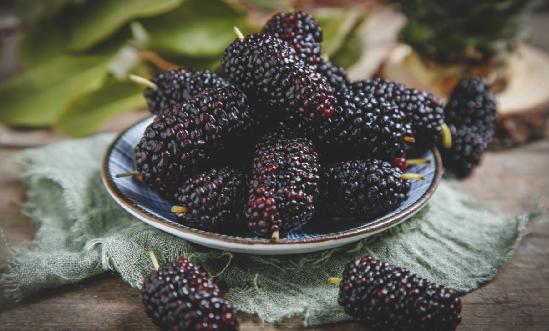 桑葚行业市场发展情况分析2024