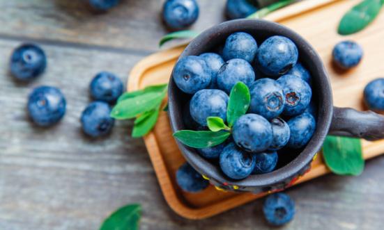 国产蓝莓订单增长超1600% 2024蓝莓市场现状调研