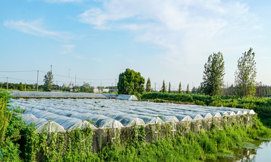 农膜行业市场规模调研：供应充足 价格稳定