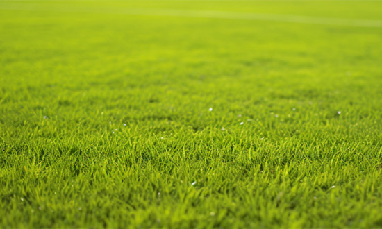 中国共有体育场地459.27万个 体育场地建设行业市场投资战略