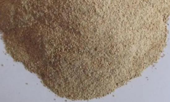 2024酶制剂产业现状及未来发展趋势分析