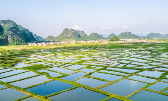 2024生态农业产业现状及未来发展趋势、规划分析