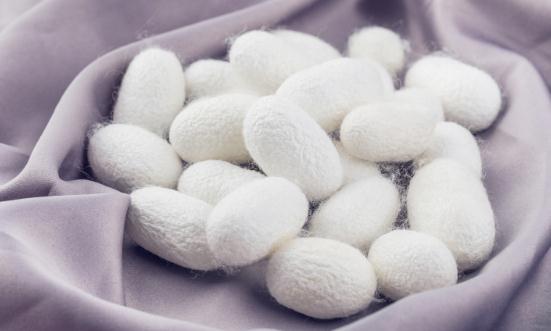 蚕丝行业深度分析及市场未来需求趋势预测2024