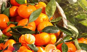 果酸行业产业链、应用领域及市场现状分析