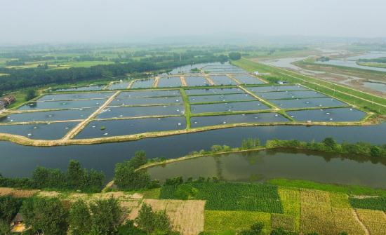 水产养殖行业深度分析 未来有望逐步实现节能减排和可持续发展