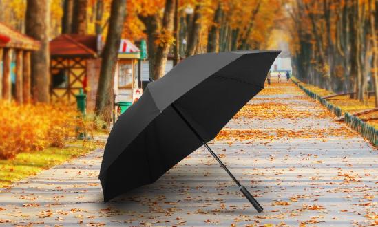 2024年中国雨伞市场深度调查研究报告