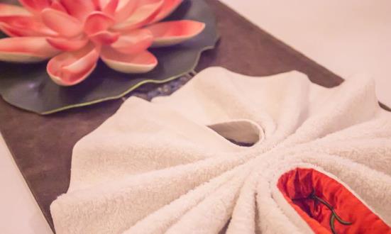 经络调理养生市场调研及投资研究2024