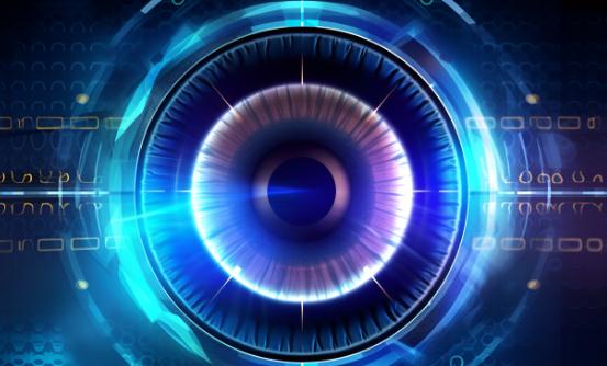 虹膜识别产业链上下游发展现状、投资前景分析2024