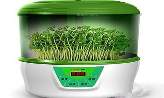 2024年中国豆芽机行业产业链的供需布局及重点企业