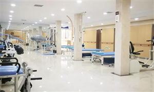 康复医疗行业发展前景研究2024