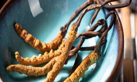 虫夏草行业市场现状：中国冬虫夏草占世界产量的98%，而青海冬虫夏草占中国60%以上的产量