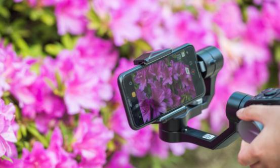 短视频产业现状及未来发展趋势：社交属性将得到进一步强化