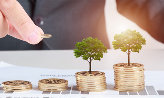 农村金融行业市场深度分析2024