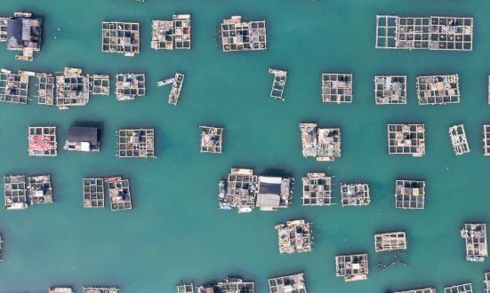 2024海洋牧场行业未来发展趋势及投资分析