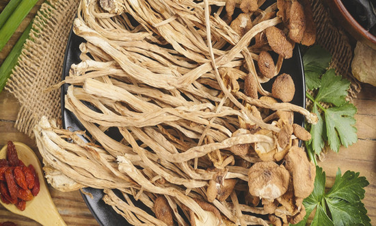 中国茶树菇行业市场发展现状及前景机遇深度调研