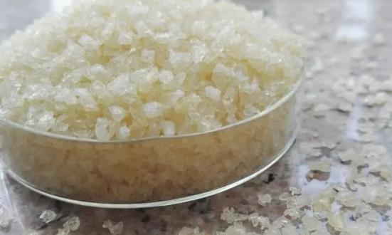 2024明胶行业深度调研及投资价值研究