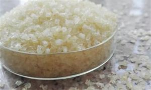 2024明胶行业深度调研及投资价值研究