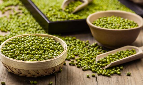 绿豆行业市场发展现状及供需格局、需求趋势分析2024