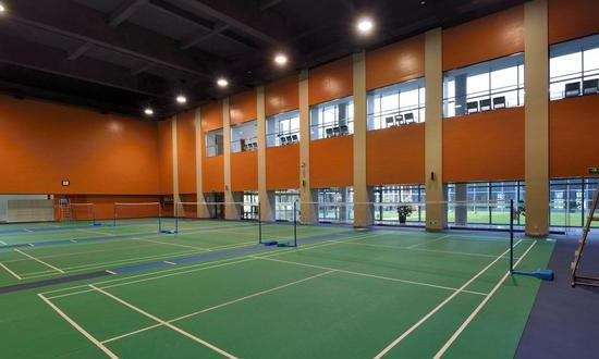 中国羽毛球馆行业规模情况分析与前景研究