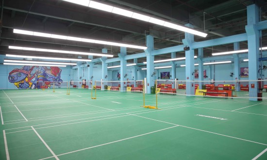 2024年中国羽毛球馆行业的产业链供需布局及发展现状