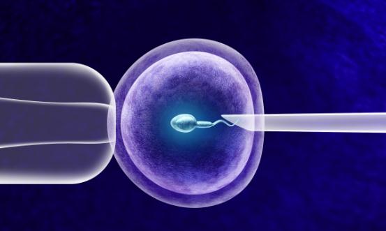 生殖健康行业市场发展现状及竞争格局、投资战略分析2024