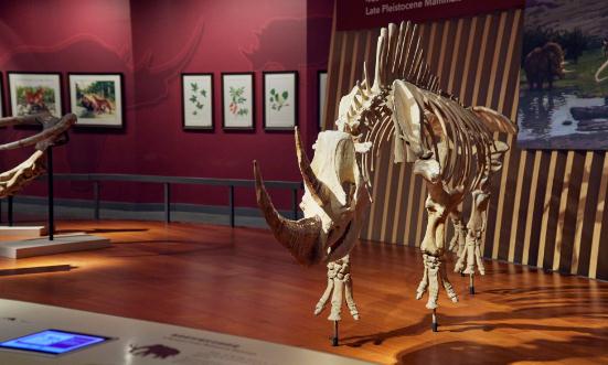 研学旅行产业现状调研：市场规模在近年来实现了显著增长