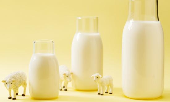 羊奶行业市场发展现状及竞争格局、前景分析2024