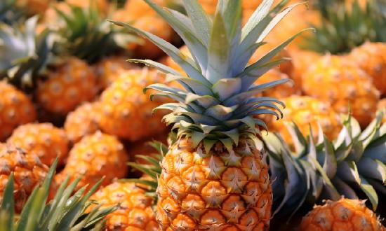 菠萝种植情况及产业发展状况分析