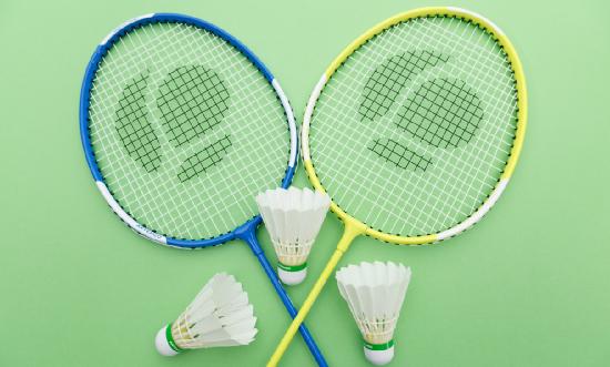 2024年羽毛球馆行业现状调研及发展研究