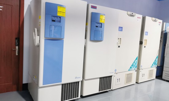 2024年中国超低温冰箱行业的产业链供需布局及重点企业