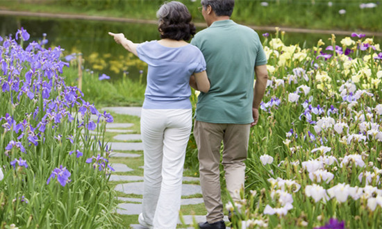 “银发族”为何热衷跨城养老? 旅居养老行业市场深度分析