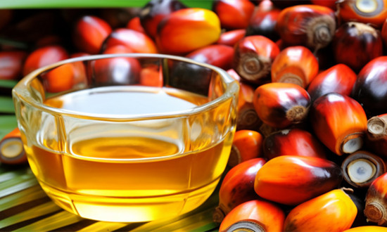 影响棕榈油供给的因素有哪些? 棕榈油行业市场现状及趋势展望2024